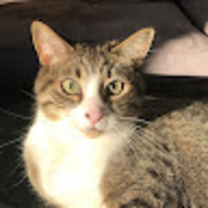 Meet your Posher, Cleo